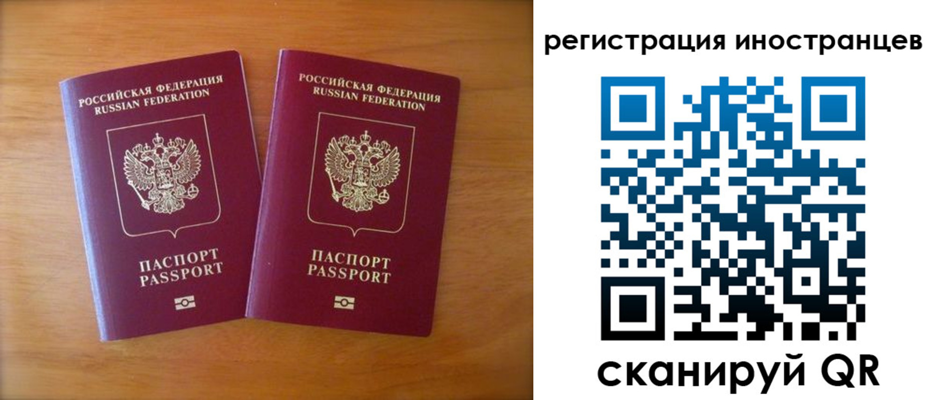 прописка поиск в Ростове-на-Дону